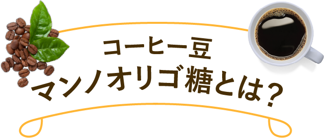 コーヒー豆マンノオリゴ糖とは?