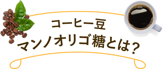 コーヒー豆マンノオリゴ糖とは？