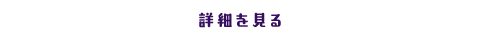 詳細を見る
