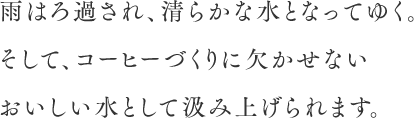 雨はろ過され、清らかな水となってゆく。そして、コーヒーづくりに欠かせないおいしい水として汲み上げられます。