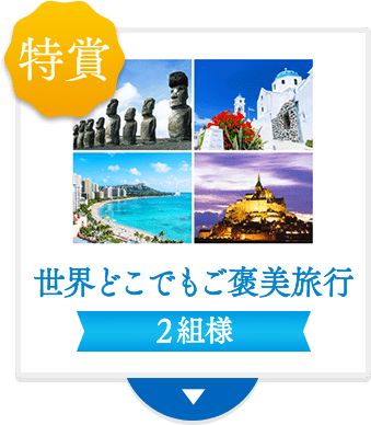 世界どこでもご褒美旅行 2組様