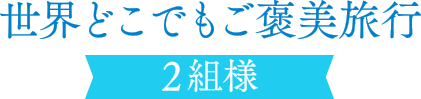 世界どこでもご褒美旅行 2組様