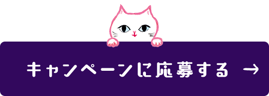 キャンペーンに応募する