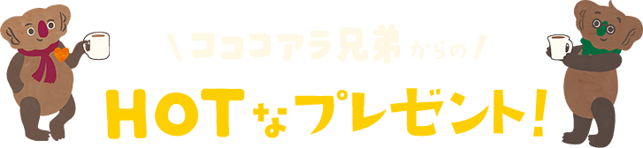 コココアラ兄弟からのHOTなプレゼント！