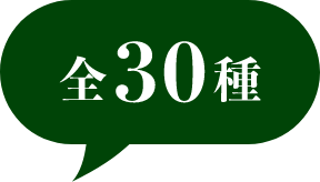 全30種