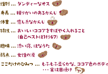 性別…ダンディーなオス 身長…頼りがいのあるかんじ 体重…癒し系なかんじ 特技…おいしいココアをすばやく入れること（自己ベストは1秒67）趣味…添い寝、はなうた 弱点…女性の涙 ここだけのひみつ…もふもふ柔らかな、ココア色のボディ・・・実は日焼け