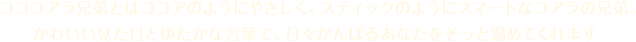 コココアラ兄弟とはココアのようにやさしく、スティックのようにスマートなコアラの兄弟。 かわいい見た目とゆたかな言葉で、日々がんばってるあなたをそっと温めてくれます。
