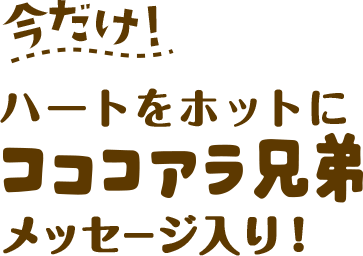 今だけあなたを温めるコココアラ兄弟メッセージ入り!