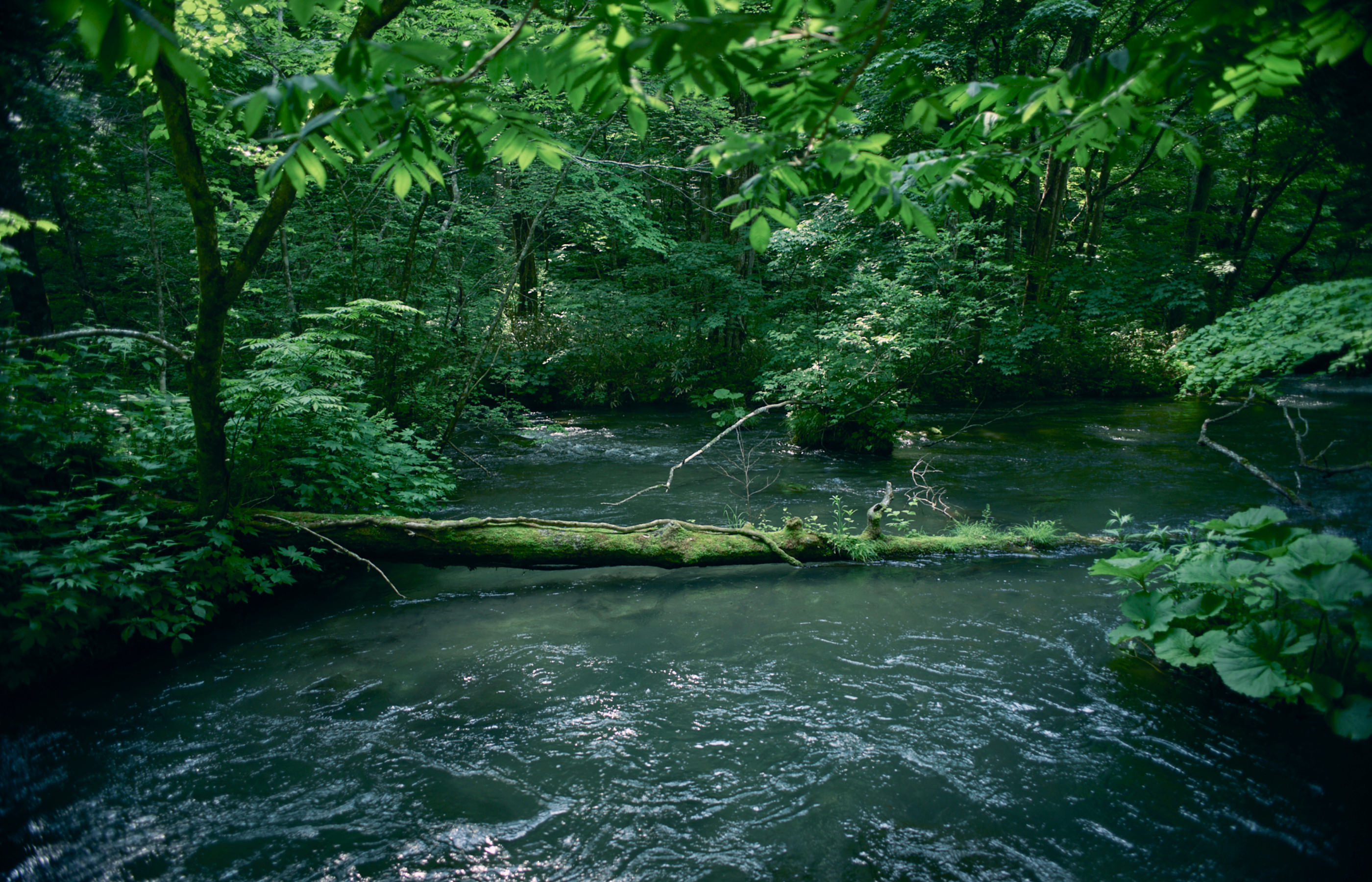 OIRASE GORGE