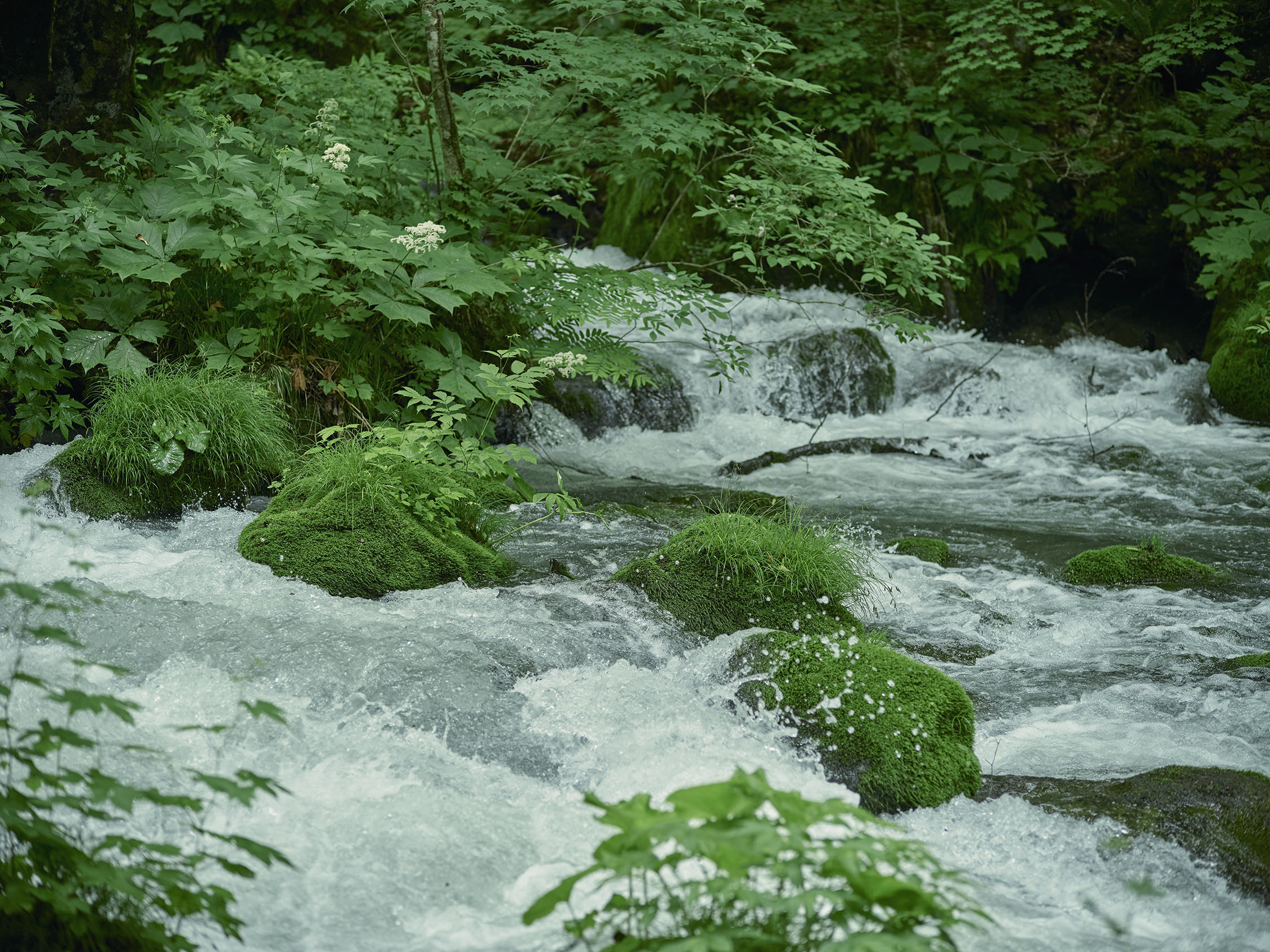 水の国から｜AGF®︎「煎」