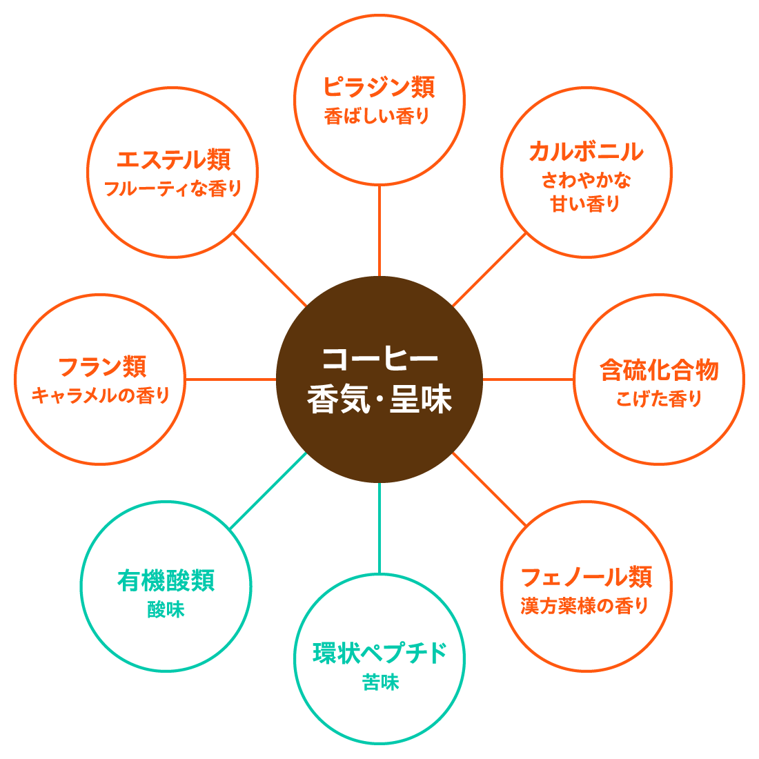 コーヒー香気・呈味　ピラジン類香ばしい香り　カルボニルさわやかな甘い香り　含硫化合物こげた香り　フェノール類漢方薬様の香り　環状ペプチド苦味　有機酸類酸味　フラン類キャラメルの香り　エステル類フルーティな香り