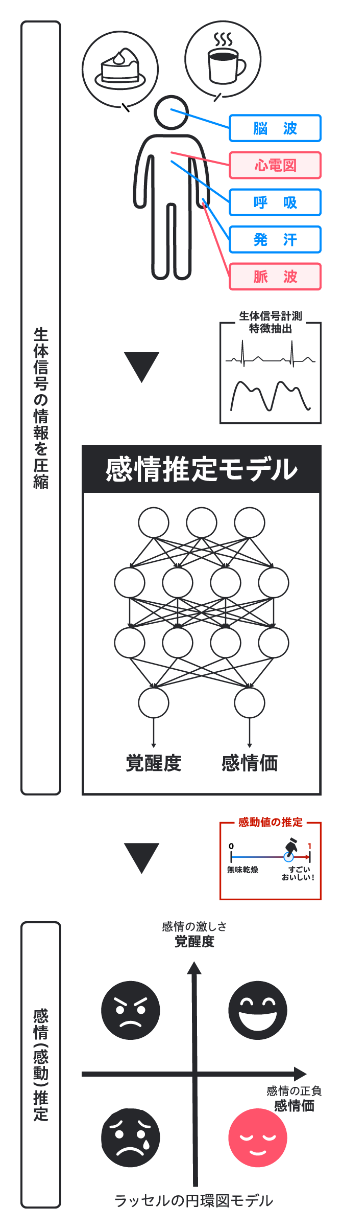 脳波　心電図　呼吸　発汗　脈波　生体信号計測特徴抽出　感情推定モデル　覚醒度　感情価　生体信号の情報を圧縮　感動値の推定　感情の激しさ覚醒度　感情の正負感情価　ラッセルの円環図モデル　感情（感動）推定