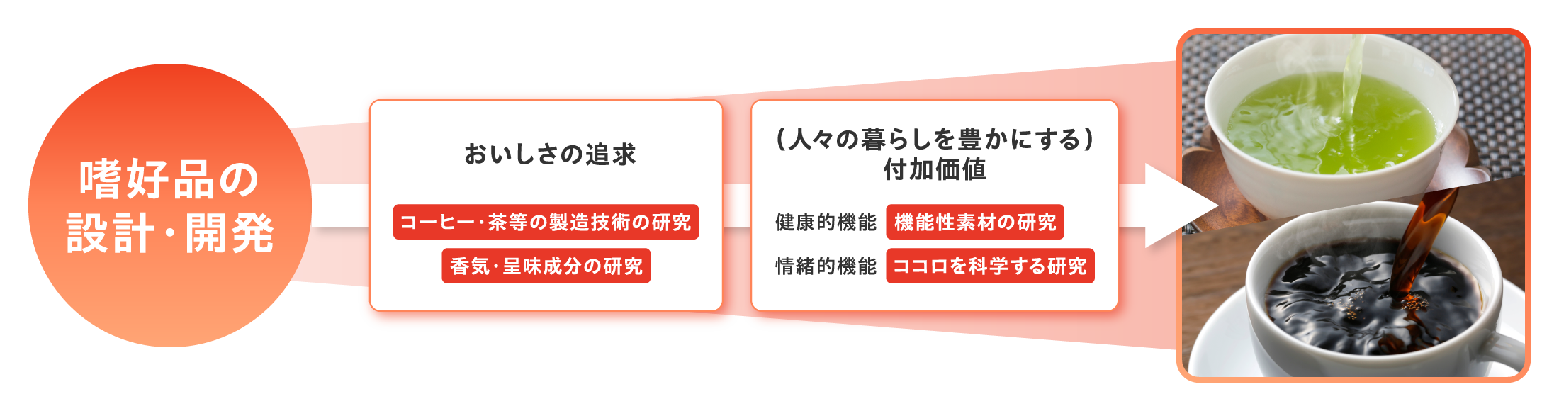 嗜好品の設計・開発　おいしさの追求　コーヒー・茶等の製造技術の研究　香気・呈味成分の研究（人々の暮らしを豊かにする）付加価値　健康的機能　機能性素材の研究　情緒的機能　ココロを科学する研究