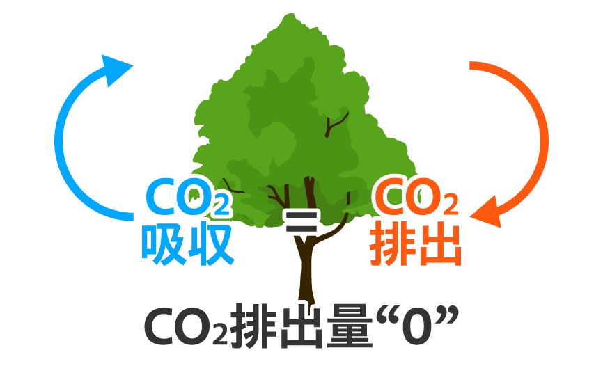 CO₂吸収　CO₂排出　CO2排出量 '0'
