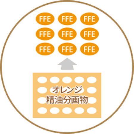 FFE　オレンジ精油分画物