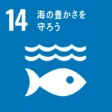 SDGs 目標14「海の豊かさを守ろう」