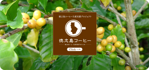 徳之島コーヒー