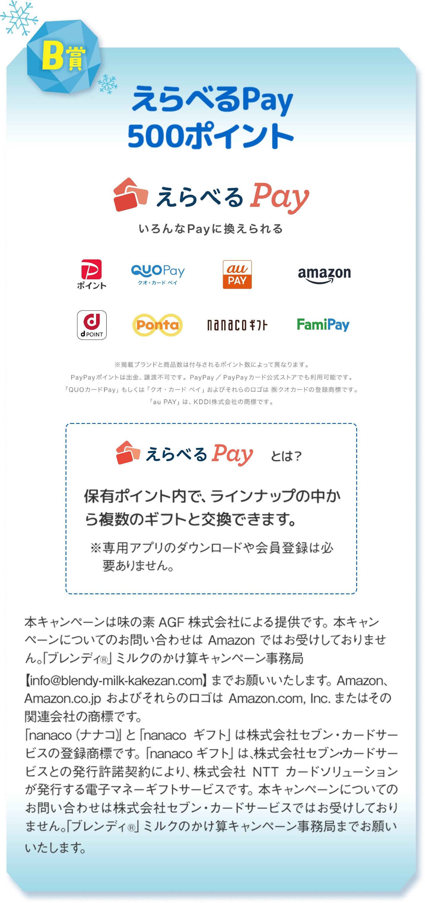 B賞 えらべるPay 500ポイントの詳細画像