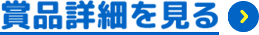 詳細を見る