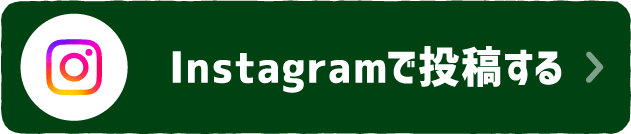 インスタグラムで投稿する