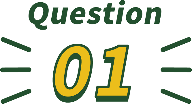 question01画像