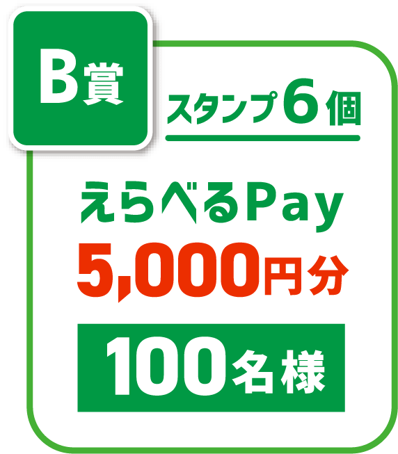 スタンプ6個 えらべるPay 5000円分 100名さま