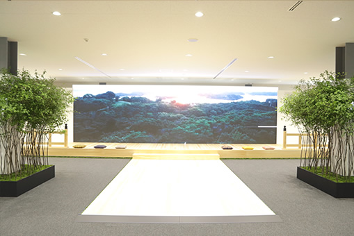 アネックス 写真4