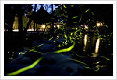 「京都の四季を味わう 神山湧水珈琲会」を実施