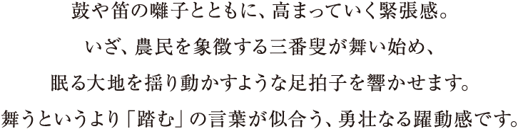 鼓や笛の囃子とともに、高まっていく緊張感。いざ、農民を象徴する三番叟が舞い始め、眠る大地を揺り動かすような足拍子を響かせます。舞うというより「踏む」の言葉が似合う、勇壮なる躍動感です。