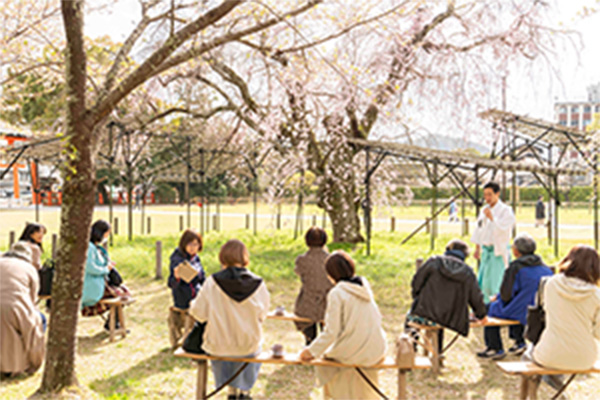 世界遺産で桜の銘木と神山湧水珈琲を嗜む「花見ツアー」
