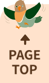 PAGE TOP