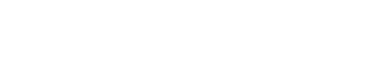 2013年度の活動実績