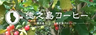 徳之島コーヒー生産支援プロジェクト