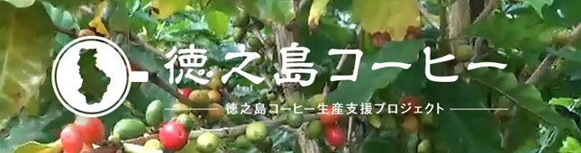 おいしい国産豆コーヒーをお客様のもとへ 徳之島コーヒー生産支援プロジェクト